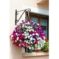 thumbnail image 3 of Amagabeli 2 Pack Hanging Plants Bracket 11'' Wall Planter Hooks Hangers Flower Pot Bird Feeder Wind Chimes Lanterns Patio Lawn Garden for Outdoor Indoor Fence Screw Mount Against Door Arm Hardware, 3 of 9
