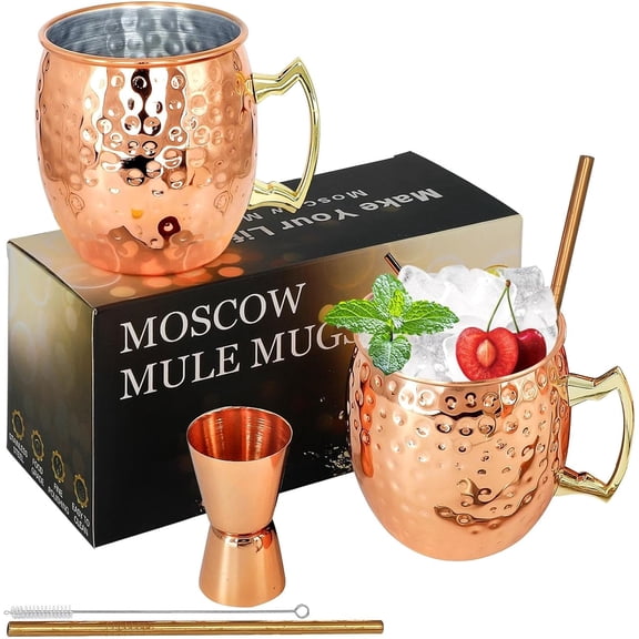 Moscow Mule Copper Mugs Set of 2 Moscow Mule Cups Stainless Steel Mug 18 Oz Food Safe Hammered Great for Cocktails Water Cold Drinks