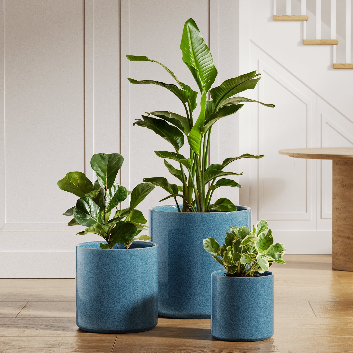 Amazon.com : Ziliny 20 Pcs 3 Inch Self Watering Pots Self