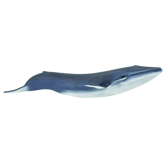 Safari Ltd. Blue Whale Figurine - Lifelike 11" Model Figure - Educational Toy for Boys, Girls, and Kids Ages 3 