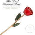 thumbnail image 2 of Forever Rose, a Genuine, One of a Kind, Real Red Rose, Hand Dipped in Lacquer and Trimmed in 24K Gold, 2 of 6