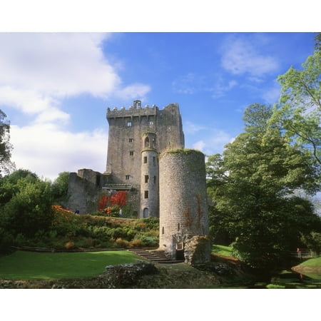 Blarney Castle Co Cork Ireland Medieval Stronghold In Blarney Stretched Canvas - The Irish Image Collection  Design Pics (17 x (Stronghold Kingdoms Best Castle Design)