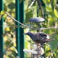 thumbnail image 3 of Soimiss 5Pcs Upgraded Perch for Bird Feeder Convenient Feeding for Outdoors, 3 of 6