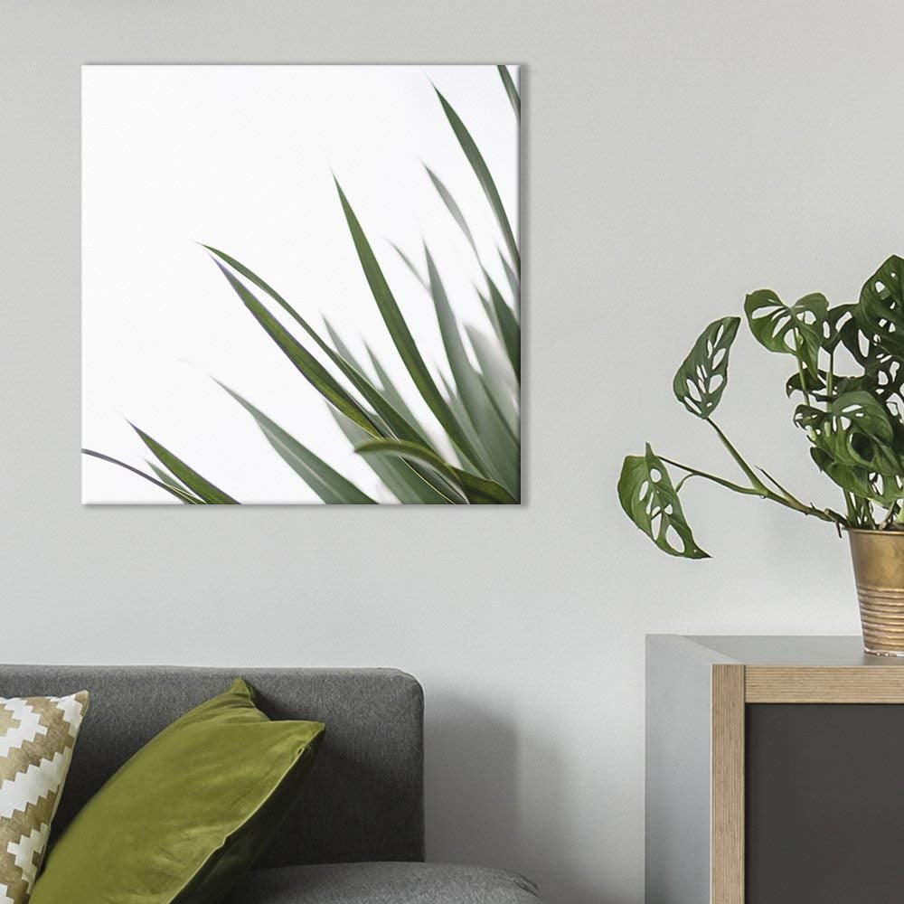 Green Plants Vase Art Prints Leaves Poster Wall Picture Home Decor