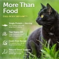 thumbnail image 6 of Nature's Protection Superior Care Dry Cat Food, Adult Dark Coat Cats, High Protein Herring, 3.3lb, 6 of 7