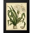 thumbnail image 2 of Miller, Phillip 12x14 Black Modern Framed Museum Art Print Titled - Custom Crinum Pl. CX (GC), 2 of 5
