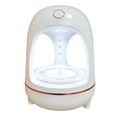thumbnail image 1 of GROWTH TANK Humidificateur Ménager Réservoir d'Eau 700ml Grand Volume de Brouillard avec Roses Colorées Dorées, 1 of 9
