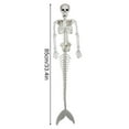thumbnail image 4 of kurtrusly Plastic Skeleton Posable Joints For Unique Halloween Decoration ABS Posable Joints Skeletons Size For Needs 1Set, 4 of 6