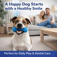 thumbnail image 6 of Fountwell Dog Dental Chew Toy Pet Oral Care Brushing Teeth Cleaner for Small Medium Large Dogs, 6 of 8