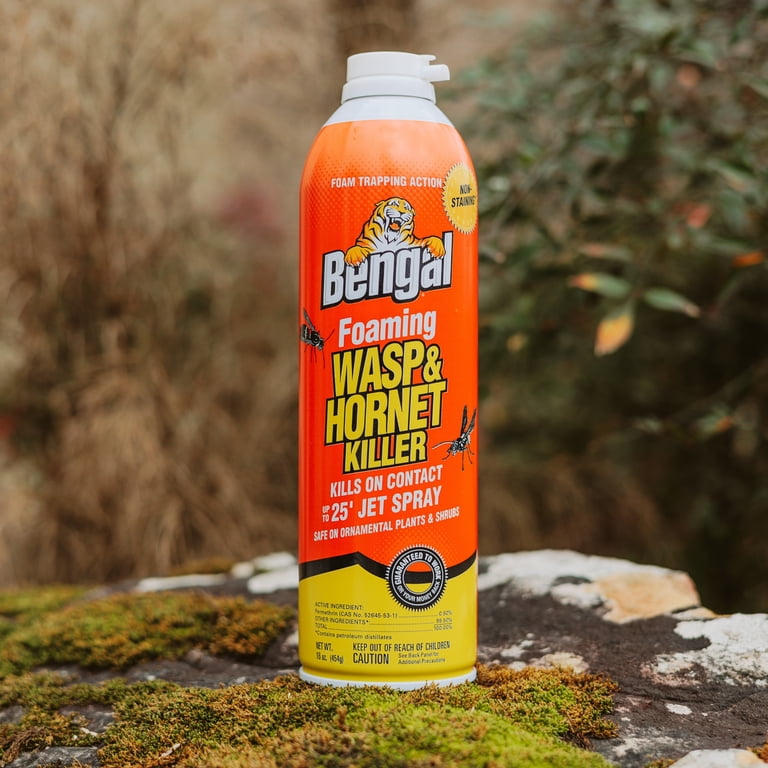 Bengal Foaming Wasp & Hornet Killer, 16 oz, 2-Pack photo 5