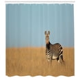 thumbnail image 3 of Wildlife Shower Curtain, Cape Mountain Zebra National Park South Africa Endangered Species Dried Grass, Fabric Bathroom Set with Hooks, 69W X 84L Inches Extra Long, Multicolor, by Ambesonne, 3 of 3