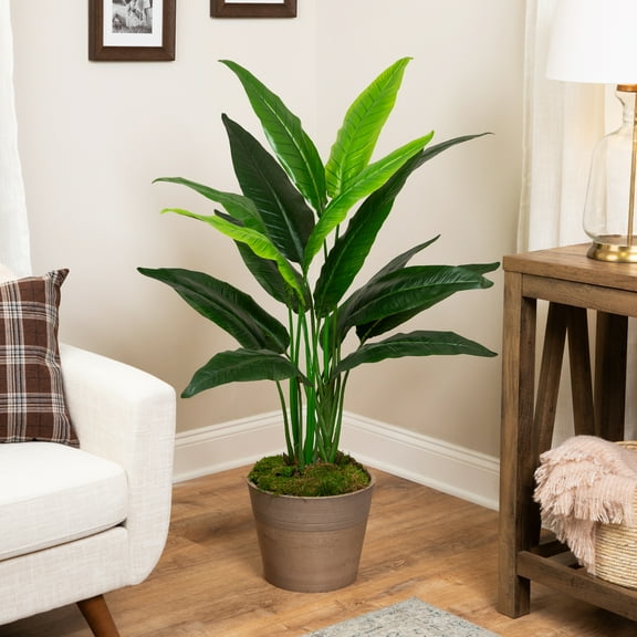 Northlight 4.25' Unlit Green Artificial Traveller's Tree with Black Pot