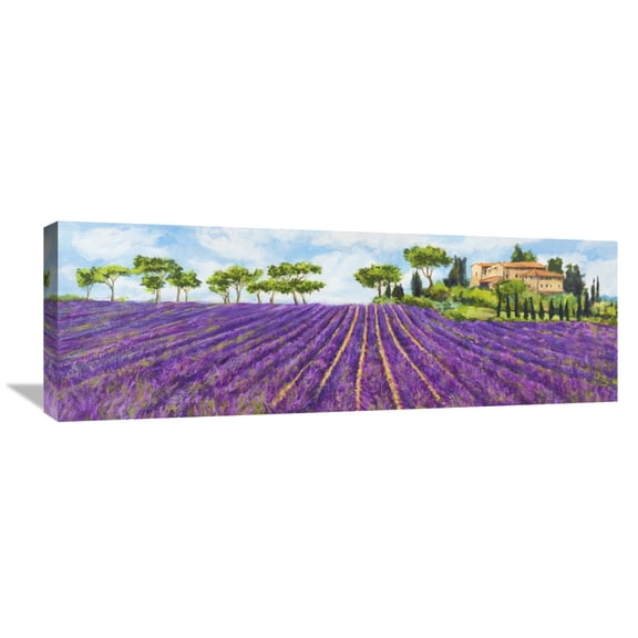 Global Gallery Massimo Germani,'Campagna provenzale' Stretched Canvas Artwork