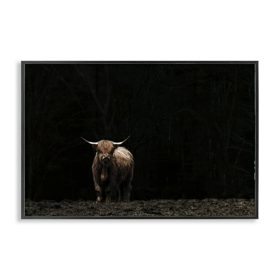 Stupell Industries Dark Contrast Highland Cow Animals Photography Black Framed Art Print Wall Art, 18 x 12