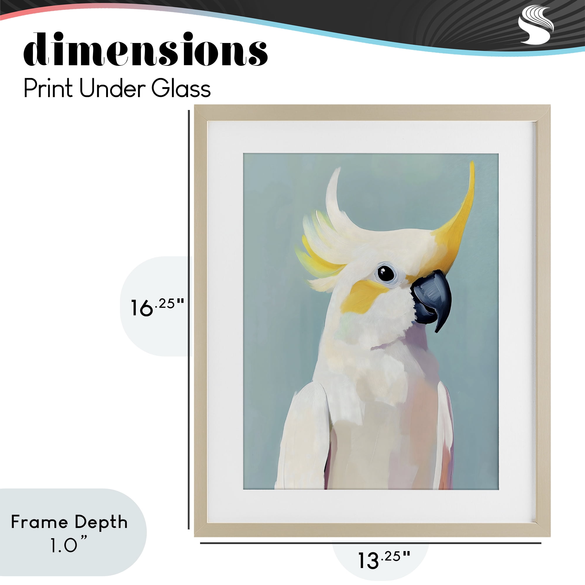 Stupell Industries Yellow Crested Cockatoo Birch Framed Print Under Glass, design by The Prints Vibe