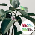 thumbnail image 3 of 8 unids adorable resina pájaro adorno decorativo escritorio adorno jardín decoración, 3 of 5