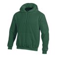 thumbnail image 1 of Champion Chandail à Capuchon à Enfiler Double Dry Action Fleece pour Hommes, 2TG, Vert Foncé, 1 of 1