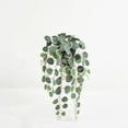 thumbnail image 1 of Plante de verdure de Lerman Decor, 1 of 4
