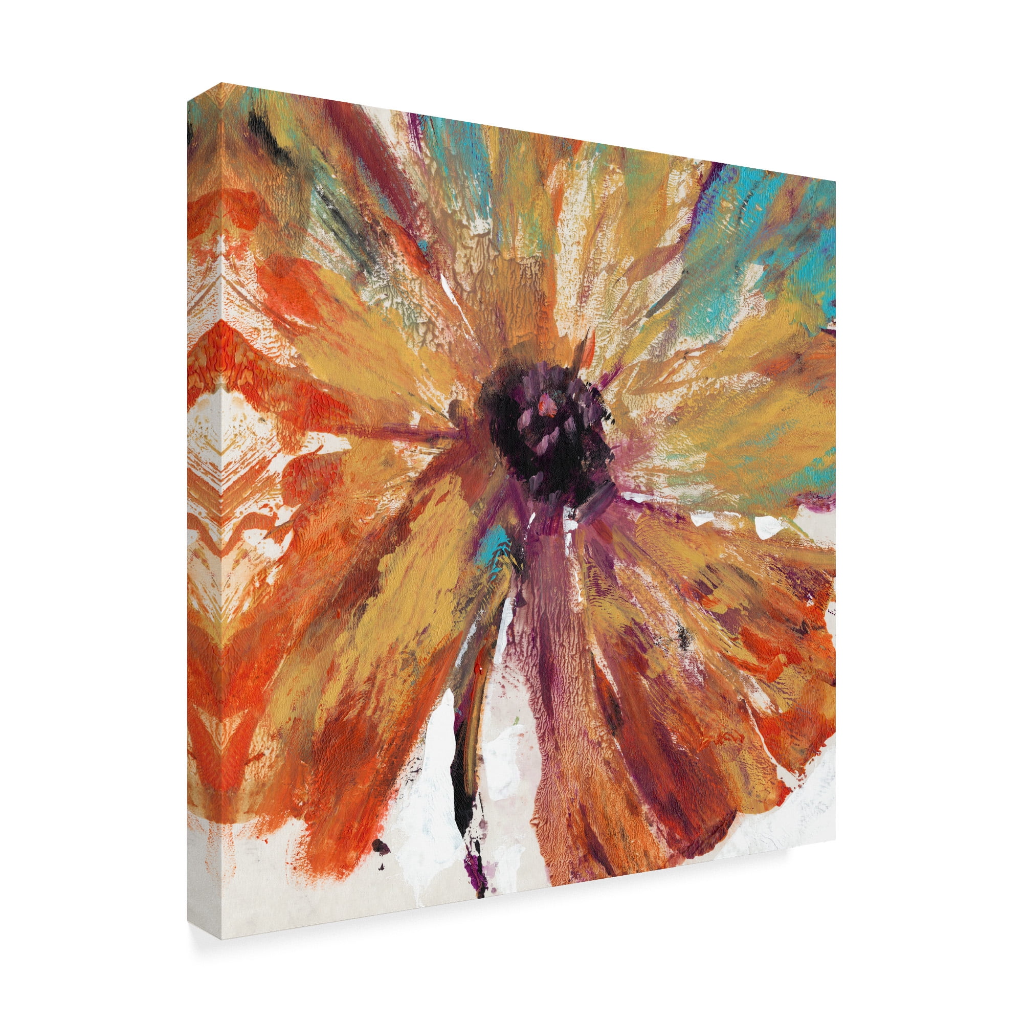 Trademark Fine Art 'Orange Splash I' Canvas Art by Tim OToole