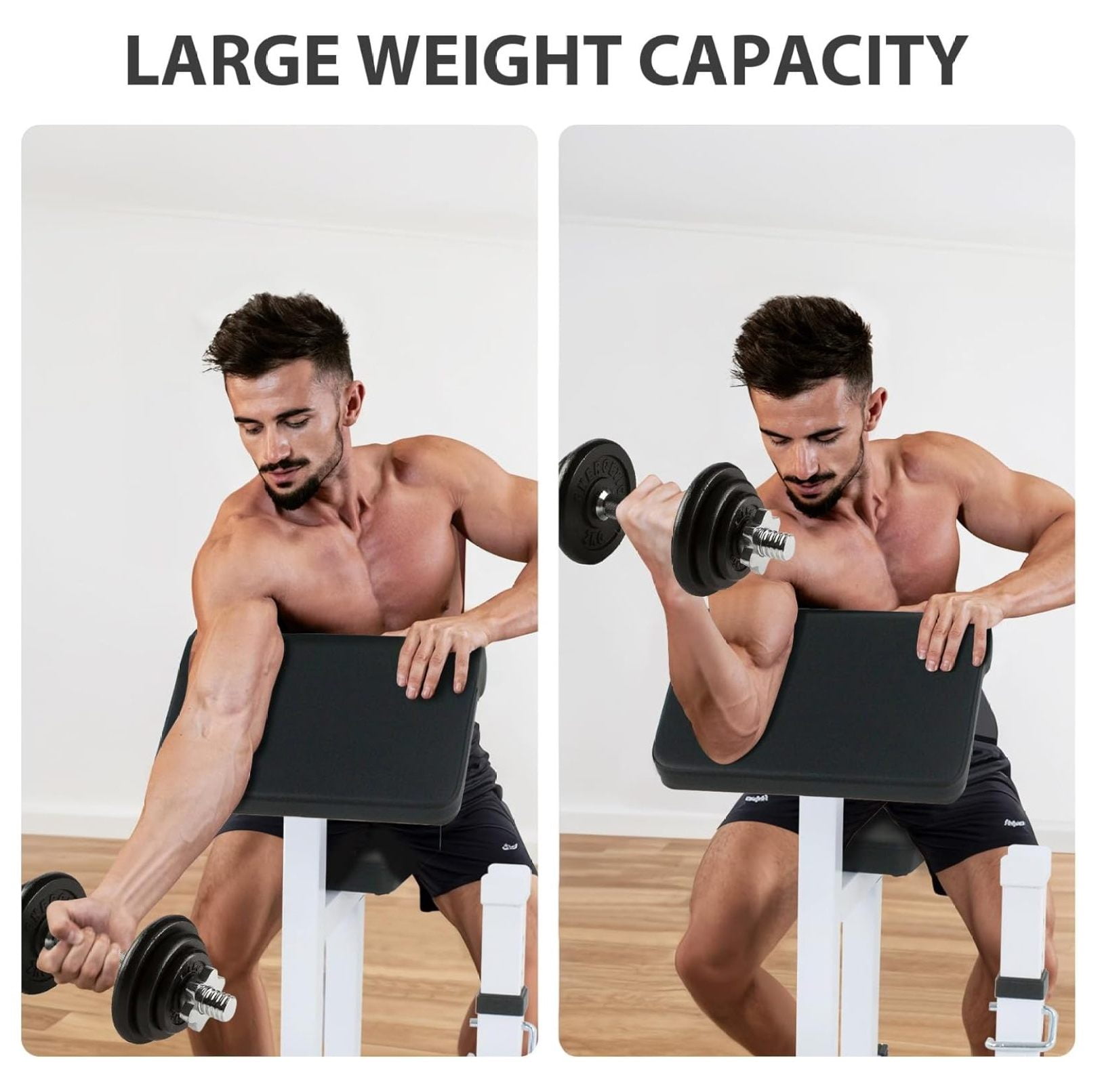 JungleA Adjustable Arm Preacher Curl Machine,Bicep Tricep Muscle Strength Training Weight w/Rack,Seated Arm Isolated Rack and Dumbbell Station for Home Gym Workout, Lbs Capacity