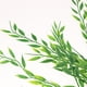 thumbnail image 3 of colgante artificial cadena de perlas planta colgante artificial re Zulema  Plantas de suculentas artificiales, 3 of 8