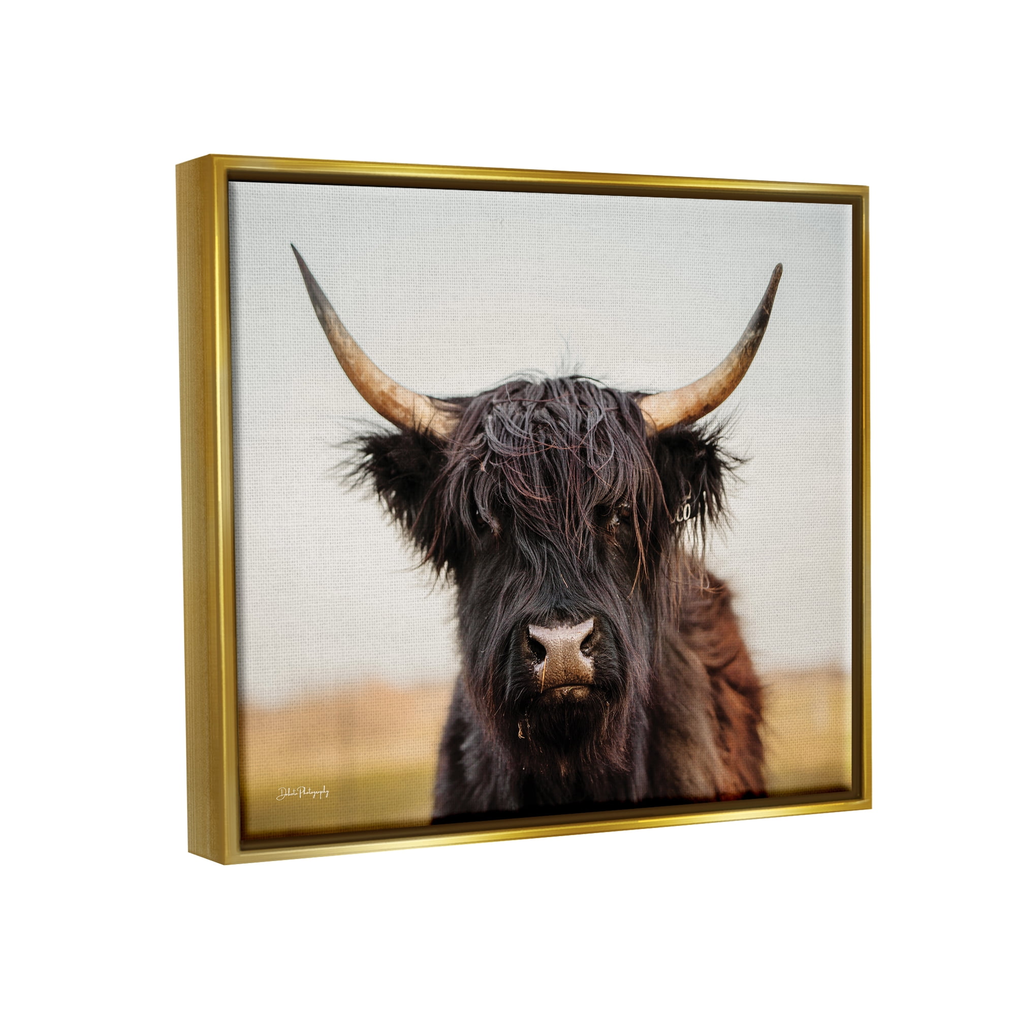 Stupell Industries Black Highland Cow Portrait Animals & Insects Photography Gold Floater Framed Art Print Wall Art, 21 x 17