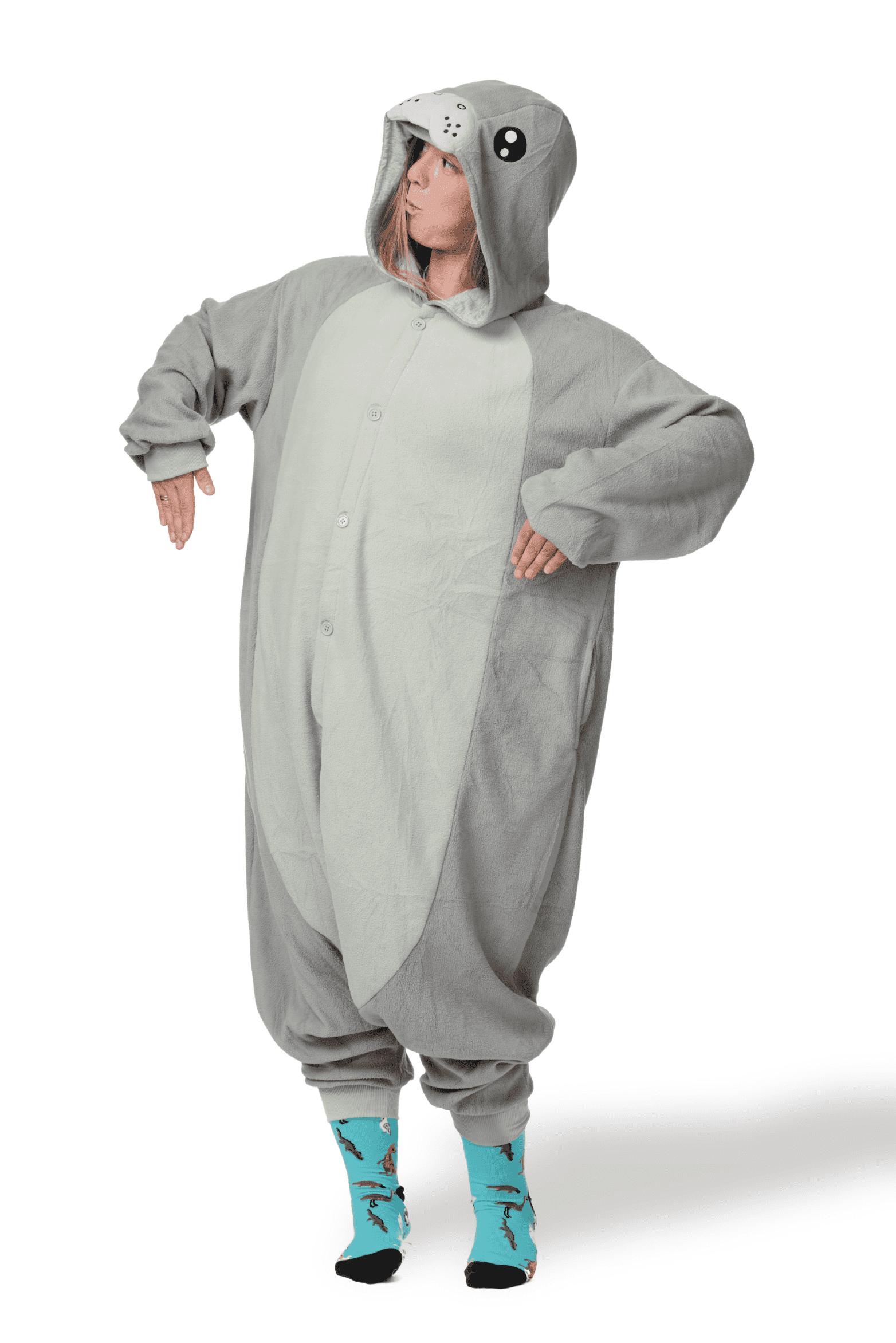 InSpirit Designs, LLC Barney Adult Costume | Medium Unisex