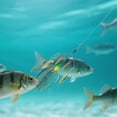 thumbnail image 1 of Fishing & Attractants Outdoor Gear Accessory For Anglers Efficient Reflective Strike At Trout Walleye 1pc, 1 of 3