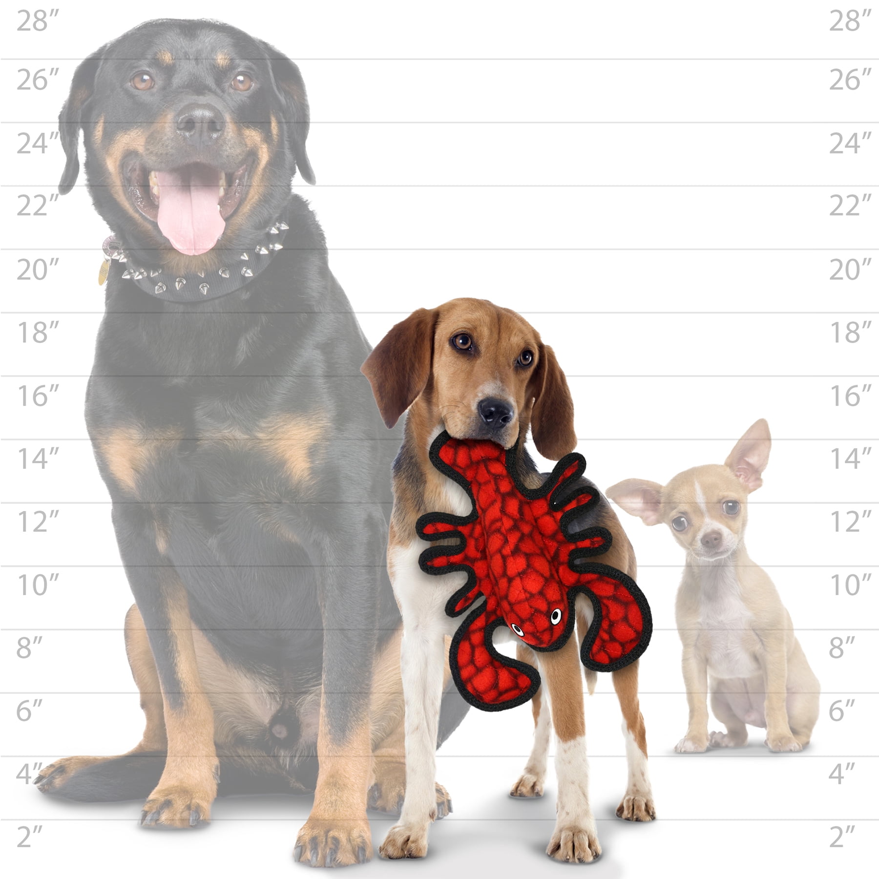 TUFFY® - World's Tuffest Soft Dog Toy - Jr Lobster, Stingray & Tiger Shark - Combo Pack - Squeakers - Multiple Layers. Made Durable, Strong & Tough.(Tug, Toss & Fetch). Machine Washable & Floats