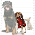 thumbnail image 6 of TUFFY® - World's Tuffest Soft Dog Toy - Jr Lobster, Stingray & Tiger Shark - Combo Pack - Squeakers - Multiple Layers. Made Durable, Strong & Tough.(Tug, Toss & Fetch). Machine Washable & Floats, 6 of 9
