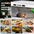 thumbnail image 3 of 39"x16"x16" Reptile Glass Tank, Professional Terrarium, Spacious Habitat for Bearded Dragons Frogs(Dual Temperature Control), 3 of 9