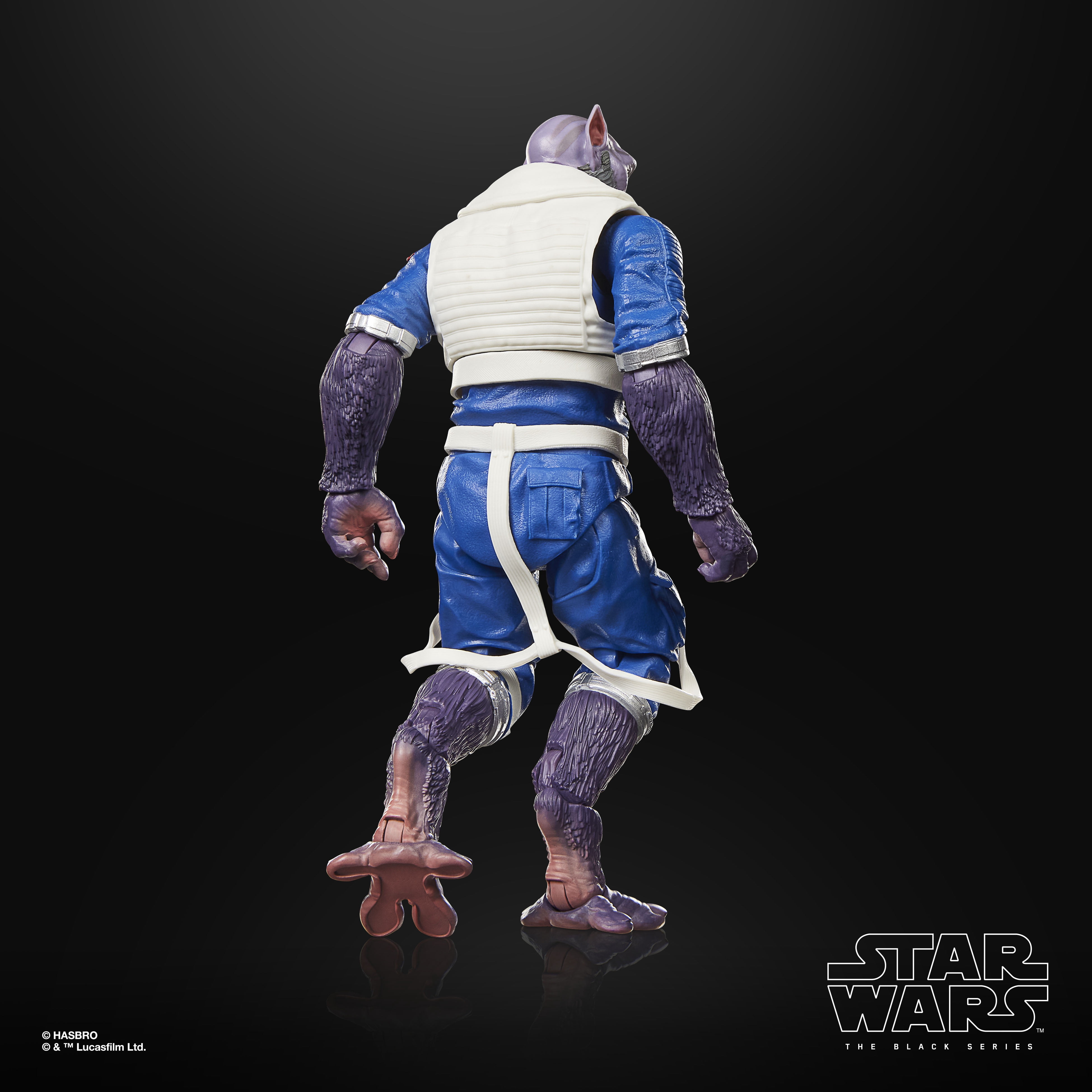 Star Wars The Black Series Garazeb “Zeb” Orrelios Action Figure (6 in.)