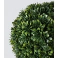 thumbnail image 3 of Better Homes & Gardens Artificial Boxwood Plant in White Planter 9" H, 3 of 5