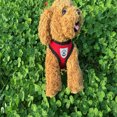 thumbnail image 4 of Ustyle Adjustable Mesh Breathable Dog Harness Pet Vest Rope Dog Strap On Chest Strap Set For Poodle Puppy, 4 of 5