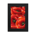 thumbnail image 1 of Red Flowers Corn Bespread Desktop Photo Frame Picture Display Art Painting Exhibit, 1 of 3
