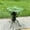 A, variant on Metal Ant Garden Decor Sculpture Home Patio Lawn Yard Indoor Outdoor Statue Ornament Metal Outdoor Ant Decoration Indoor Courtyard Decoration