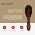 thumbnail image 2 of Cepillo de pelo Spornette Boar Bristle Porcupine para mujer, 2 of 7