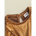 thumbnail image 5 of Bagilaanoe Toddler Baby Girl Velvet Dress Ruffle Long Sleeve A-line Princess Dresses 9M 12M 18M 24M 3T 4T Kids Casual Fall Dress, 5 of 9