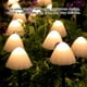 thumbnail image 3 of Toystoory Luz Solar impermeable de plástico seta al aire libre jardín patio trasero paisaje paso césped porche decoración lámpara de noche Iluminación y accesorios 5m Toystoory HA066944-03, 3 of 6