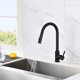 thumbnail image 2 of Kitchen Faucet with Pull-Out Spray Matte Black 360 Rotatable 2-Function Kitchen Sink Mixer Tap in Stainless Steel, 2 of 3