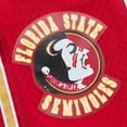 thumbnail image 4 of Men's Mitchell & Ness Gold Florida State Seminoles 1992/93 Throwback Jersey Shorts, 4 of 4