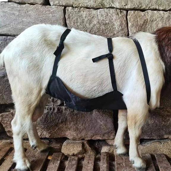 NOVELAR Anti-Breeding Apron for Goats, Easy On/Off Design and Machine Washable, Provides Versatile Mating Prevention, Suitable for Flock Safety and Hygiene