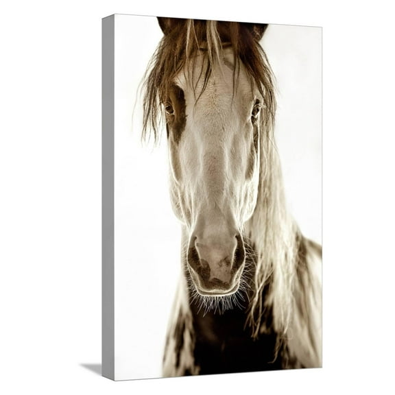 Art.com Wilbur Cruz Stretched Canvas Print Wall Art by Lisa Dearing, 12" x 18"