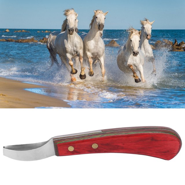 Couteau à Sabots de Cheval, Couteau à Sabots Confortable pour Farrier