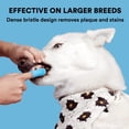 thumbnail image 4 of 4 pet fingertips cleaning toothbrushes pet silicone toothbrushes pet teeth cleaning tools, 4 of 5