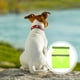 thumbnail image 2 of Chaleco para perros Chaleco de seguridad para perros de alta visibilidad Chaleco de caza Chaqueta para perros Chaleco reflectante para perros (M), 2 of 4