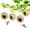 Green-4 Pcs, variant on 3 Pcs Bird Nests, Hand-Woven Hummingbird Houses, Natural Woven Grass Huts, Cozy Bird Resting Place for Garden, Yard, Window