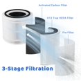 thumbnail image 2 of Filtros de repuesto Breshair 240 para purificador de aire Puroair 240, 2 of 7