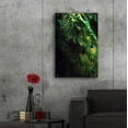 thumbnail image 6 of Epic Art 'Peacock Tail' by Incado, Acrylic Glass Wall Art, 24"x36", 6 of 8