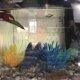 thumbnail image 3 of Greeniant 1 hamaca de cama de descanso de peces artificiales de simulación impermeable de una sola capa Betta ventosa juego de peces Relax hamaca de hojas decoración del acuario Greeniant  JJ22181-00, 3 of 6